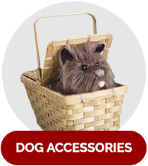 Dog Accessories