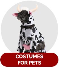 Costumes for Pets