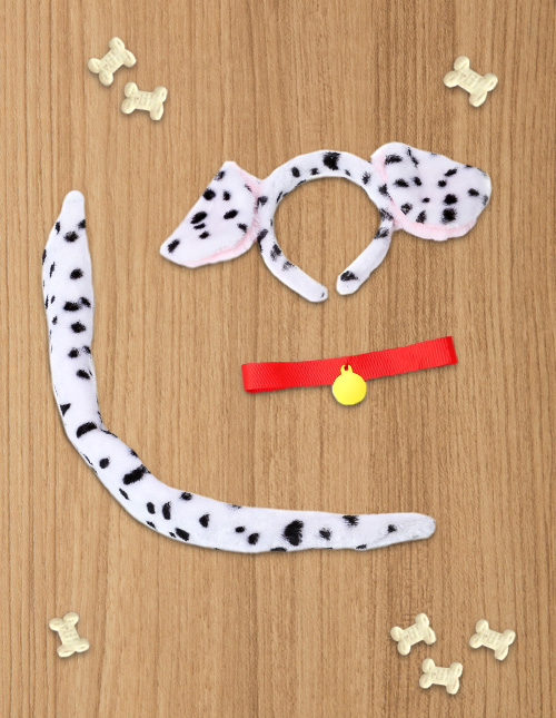 Dalmatian Accessories