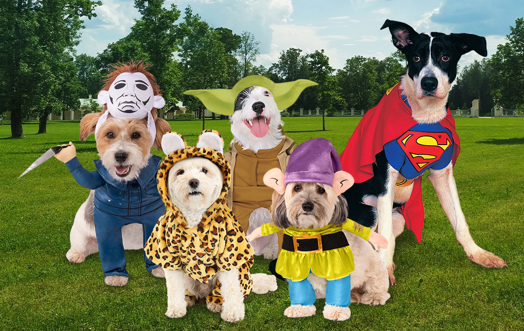 Costumes for Pets
