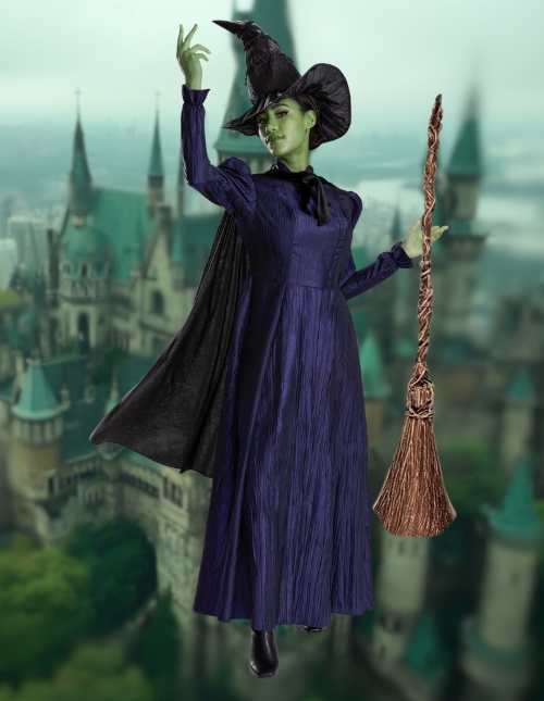 Wicked Costume Wicked Costume