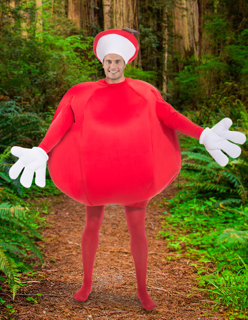 Apple Costume