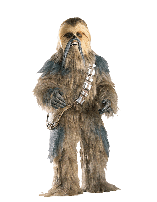 Chewbacca Costumes Chewbacca Costumes