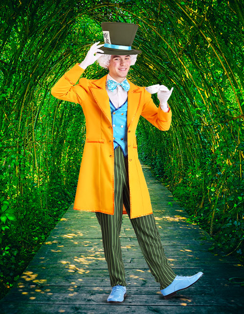 Alice In Wonderland Mad Hatter Mens Adult Fancy Dress Halloween Costume