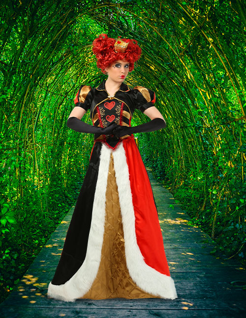 Alice in hotsell wonderland outfit