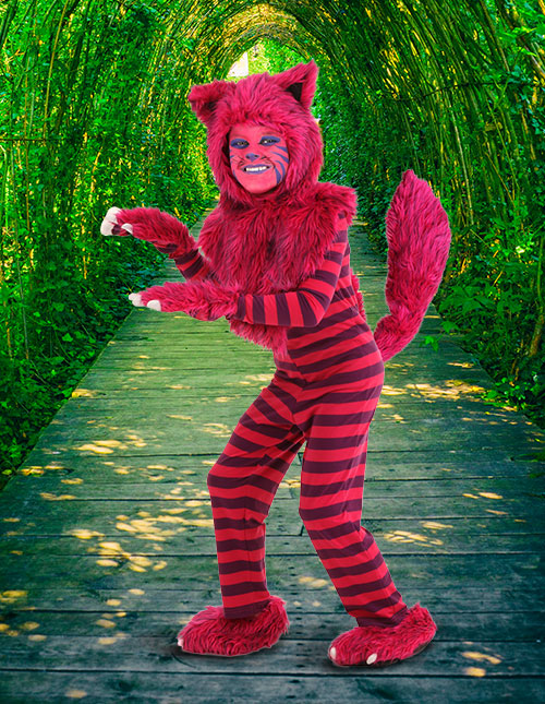 https://images.halloweencostumes.com/media/13/alice/update/cheshire-cat-costume-kids.jpg