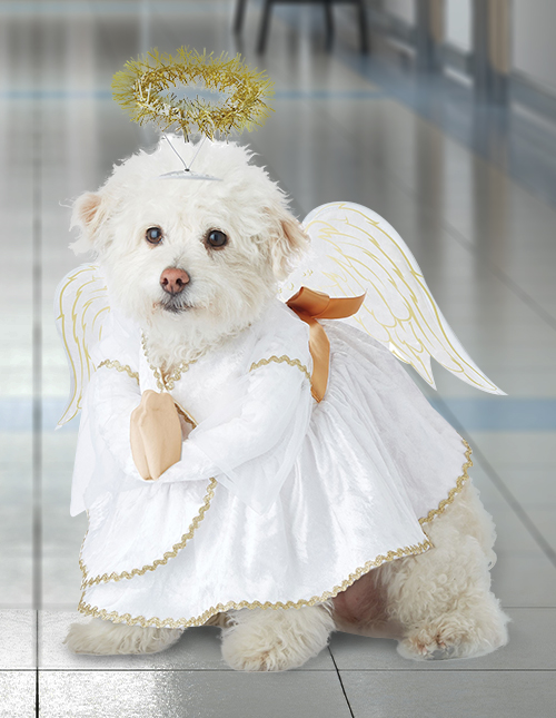 Dog Angel Costume