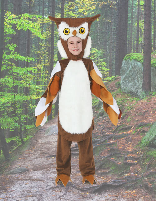 Owl Costume Owl Costume
