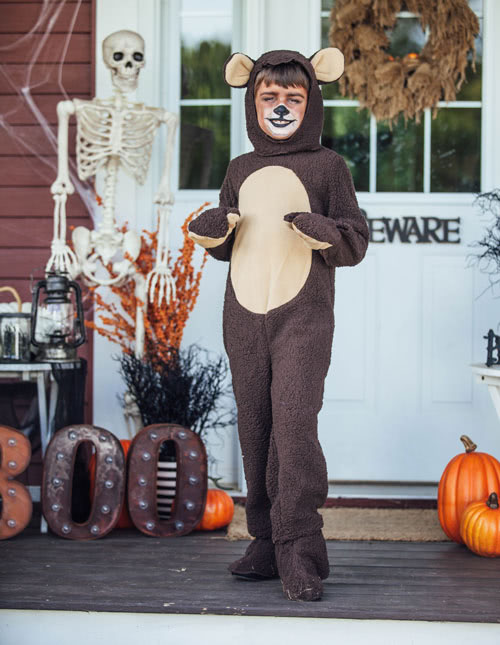 Bear Costume Bear Costume