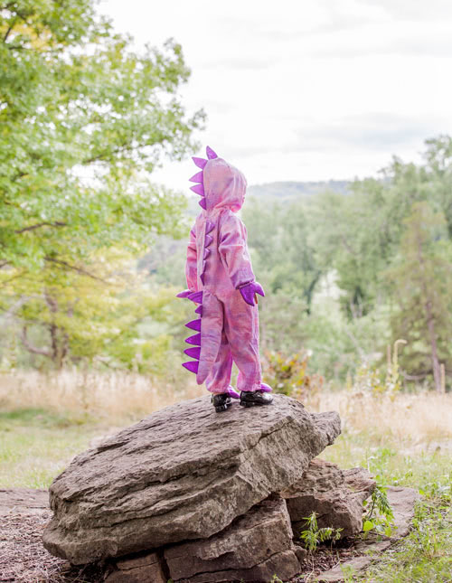 Dinosaur Costume Dinosaur Costume
