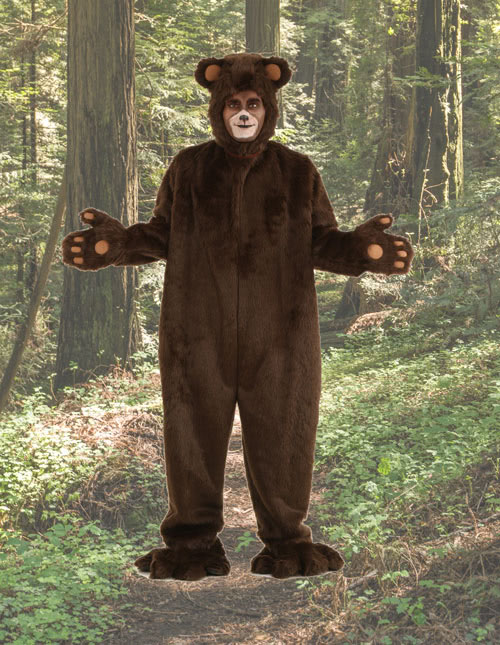 Bear Costume