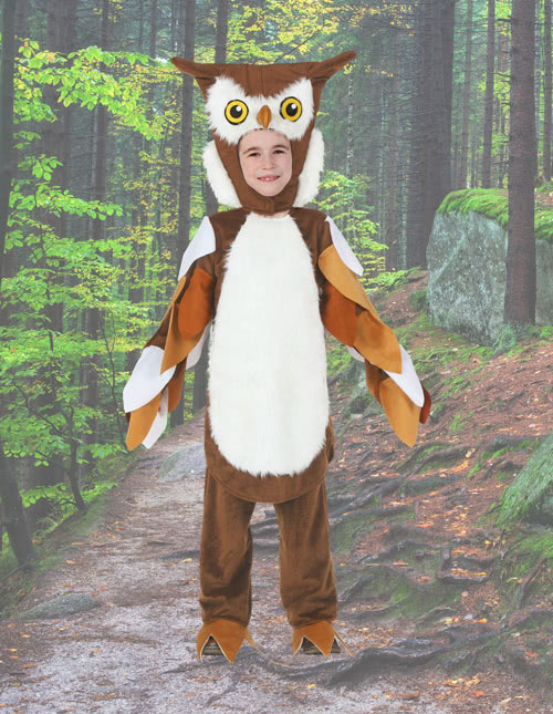 Owl Costume