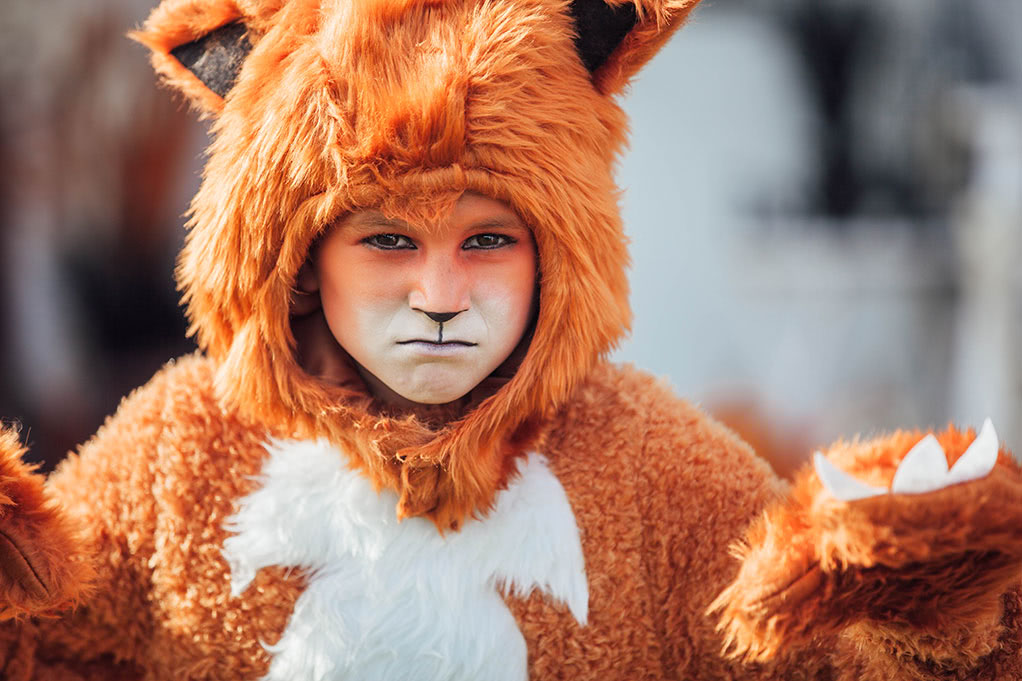 Fox Costume