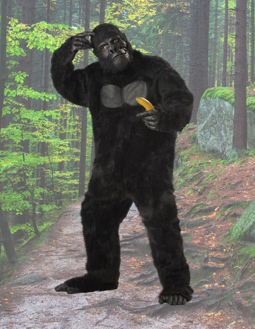 Gorilla Costume