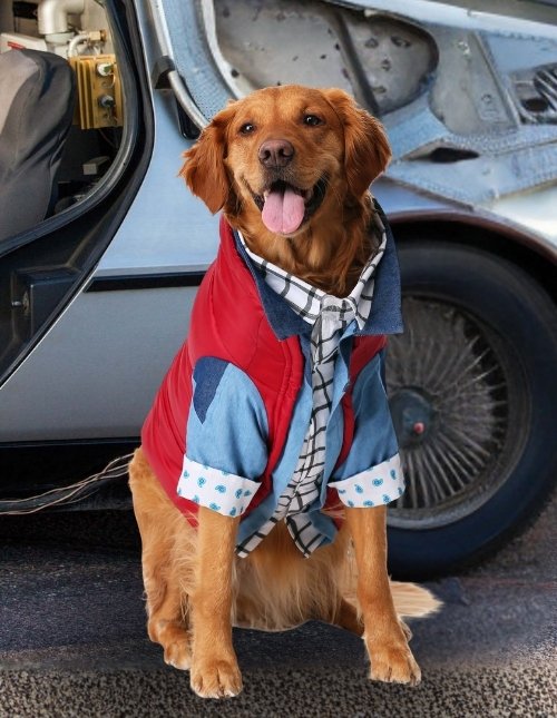 Back-To-The-Future-pet-costumes