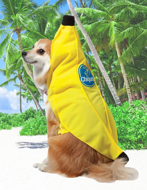 Banana Dog Costume
 Banana Costumes Kids Adult Banana Halloween Costume