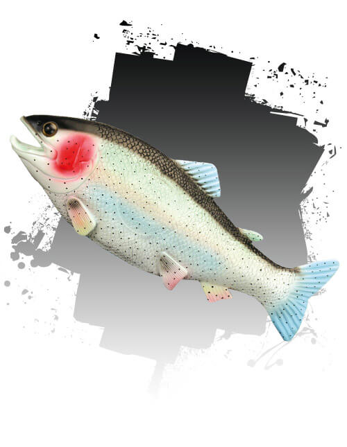 Fish Prop Fish Prop