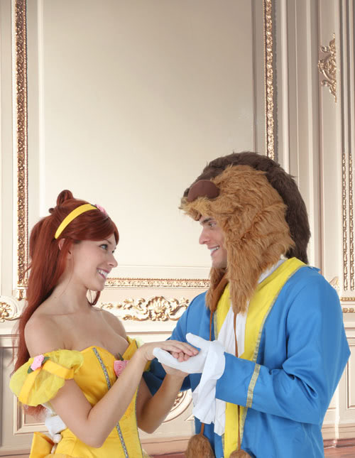 Beauty and the Beast Costume Beauty and the Beast Costume
