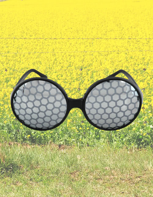 Bee Bug Eyes Sunglasses Bee Bug Eyes Sunglasses