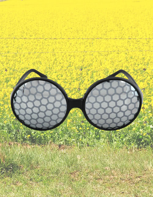 Bee Bug Eyes Sunglasses