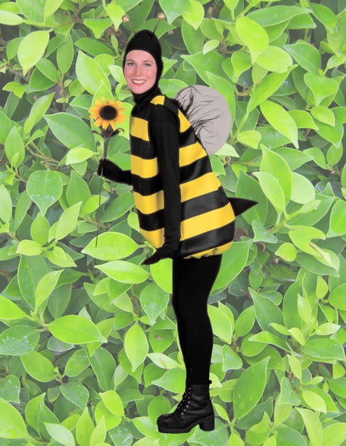Bee Costume Bee Costume