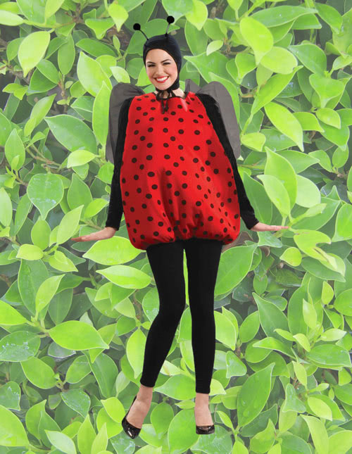 Ladybug Costume Ladybug Costume