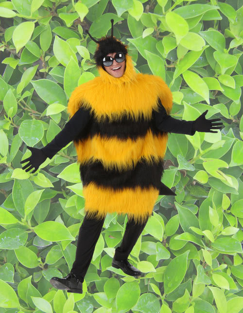Bumble Bee Costume Bumble Bee Costume