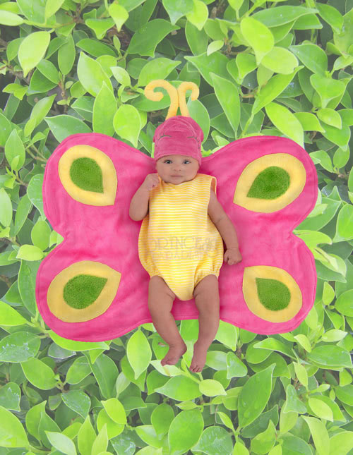 Baby Butterfly Costume