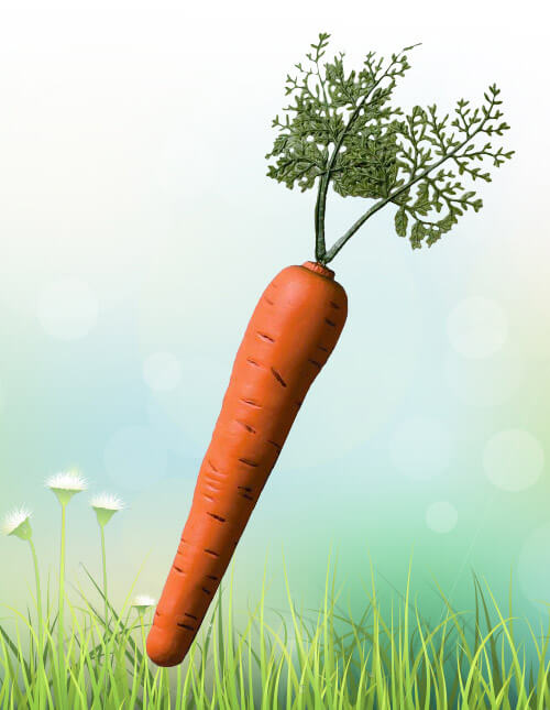 Bunny Carrot Accessory Bunny Carrot Accessory