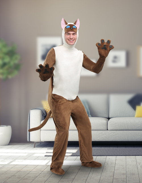 cat costumes for humans