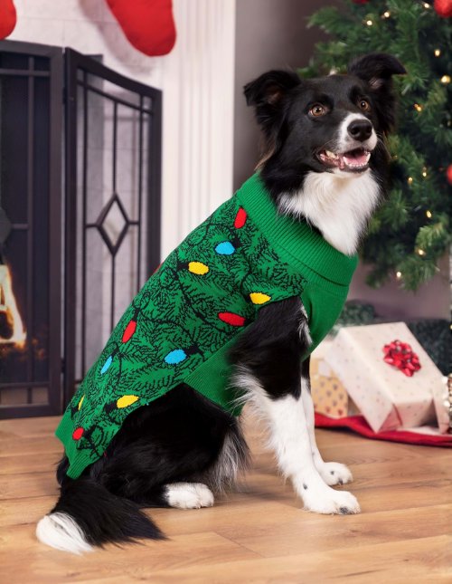 Christmas Dog Costumes
