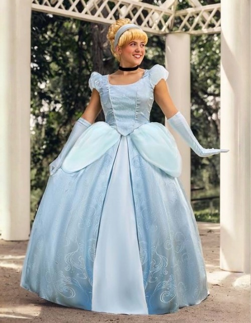 Adult Cinderella Costume Adult Cinderella Costume