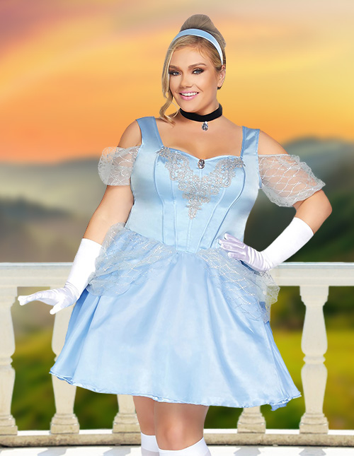 Cinderella Costume Adult