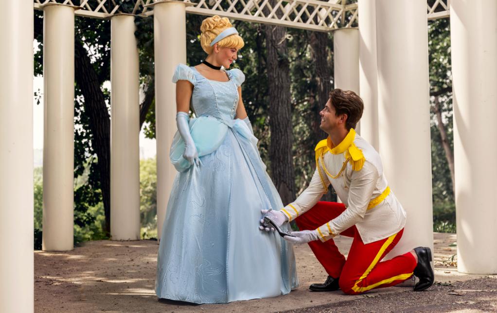 Cinderella Halloween Costumes Cinderella Halloween Costumes