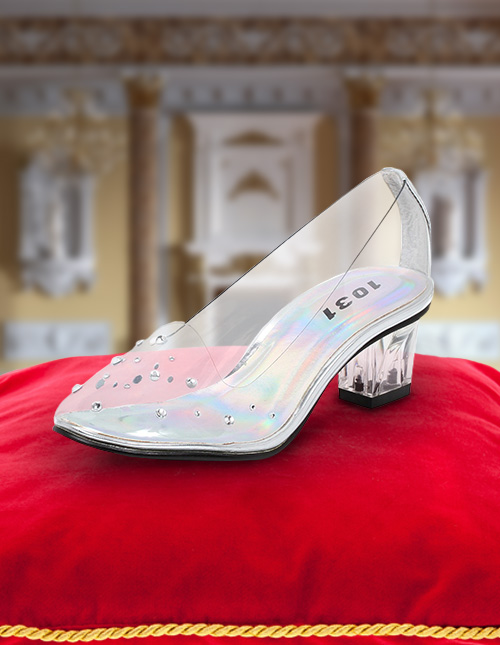 Cinderella Shoes