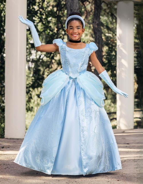 Girls Cinderella Costume Girls Cinderella Costume