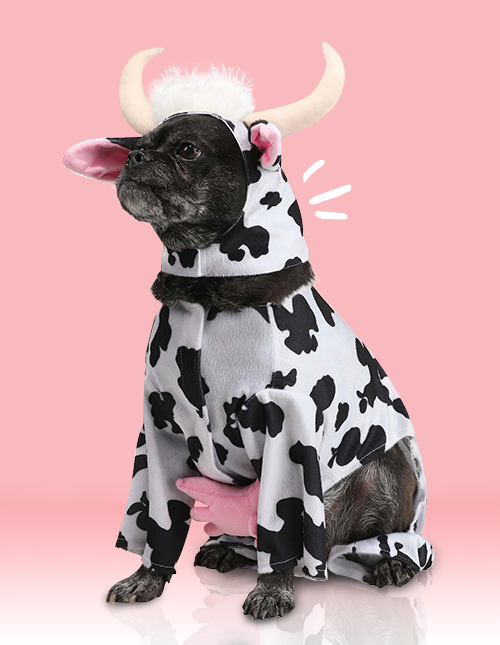 Dog Cow Costume