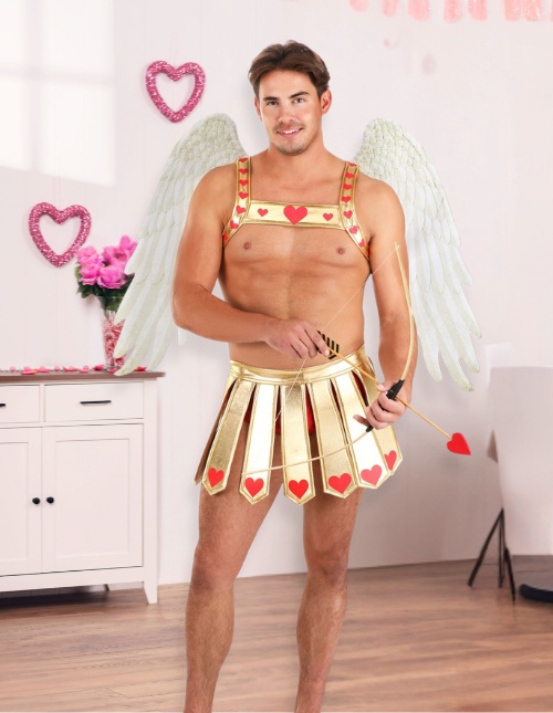 Sexy Cupid Costume