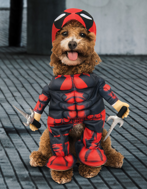 Deadpool Dog Costume