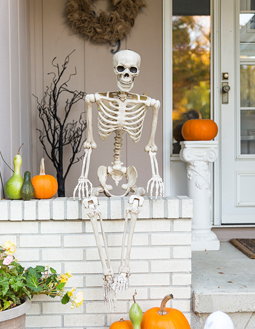 2021 Halloween Decorations | Yard Decor & Scary Indoor Decorations