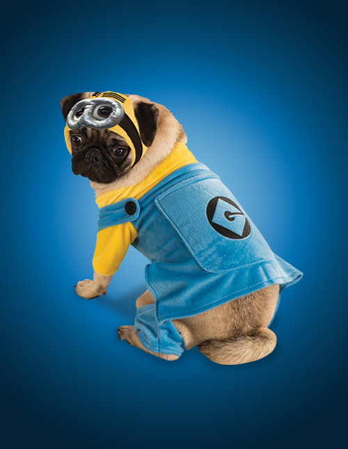 Minion Dog Costume