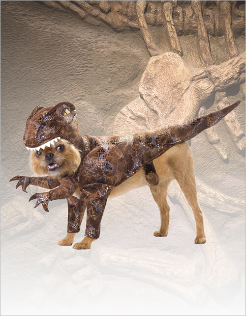 Pet Raptor Costume Pet Raptor Costume