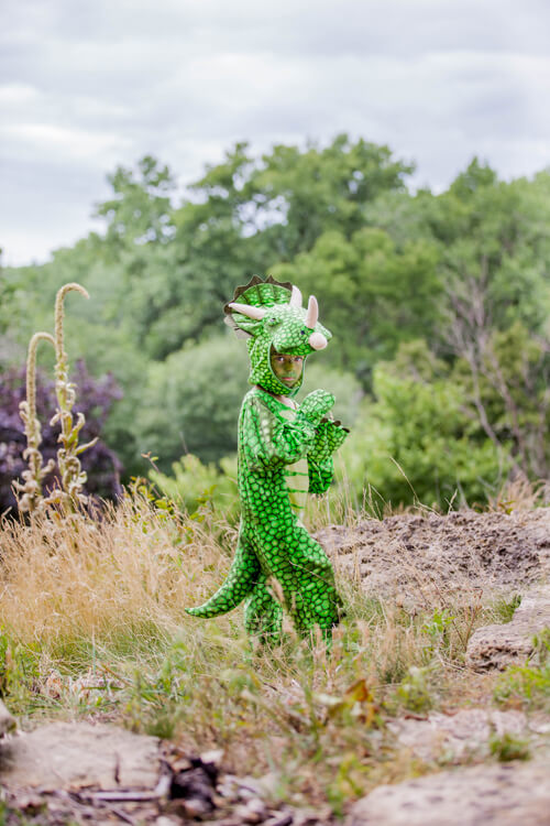A Triceratops Stop A Triceratops Stop