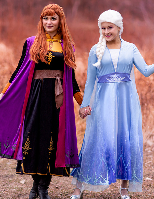 Disney Princess Costumes for Adults