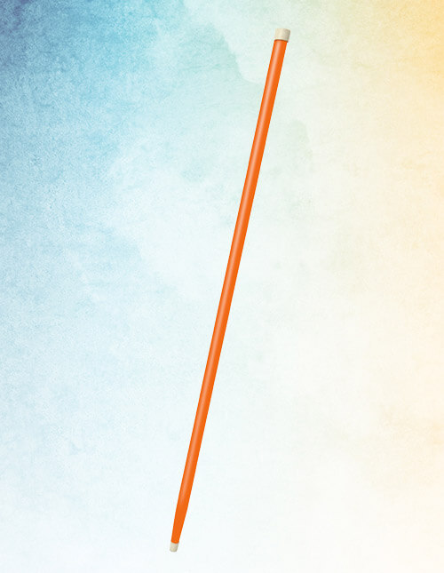 Orange Cane Orange Cane