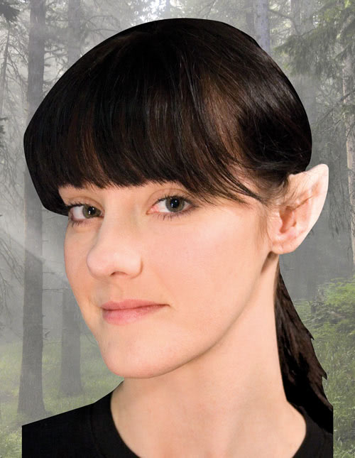 Fairy Ears Fairy Ears