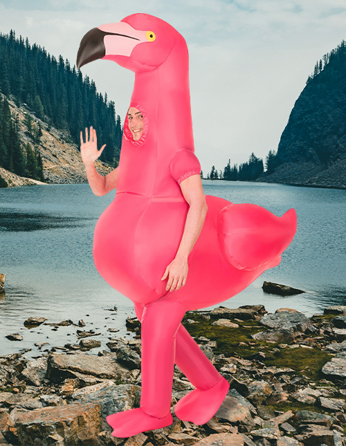 Graceful Flamingo Costume for Kids