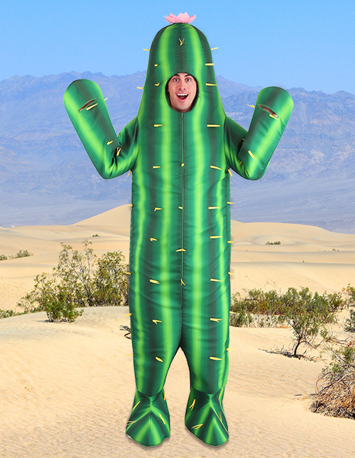 Cactus Costume