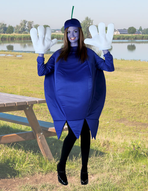 Blueberry Costume