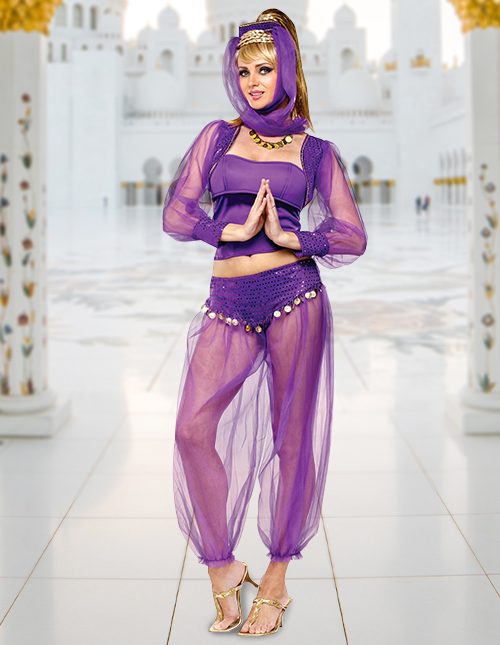 Womens Genie Costume